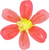 お花